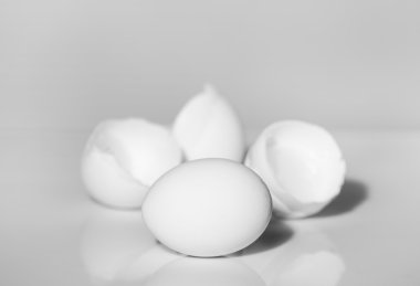 yumurta ve yumurta kabuğu