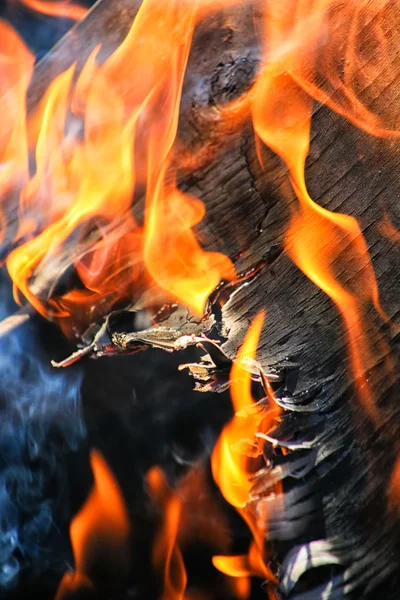 Leña de abedul ardiente —  Fotos de Stock