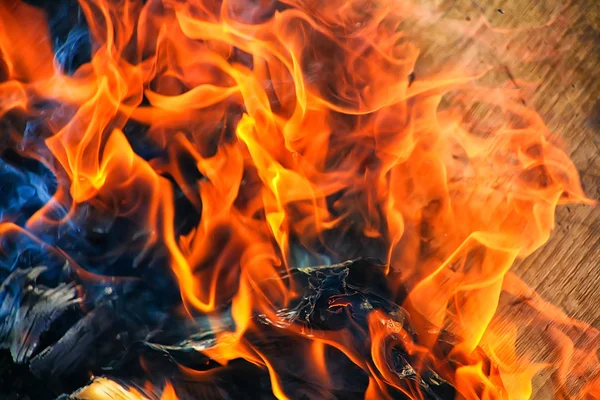 Burning birch firewood — Stock Photo, Image