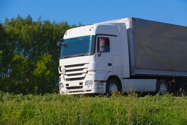 Truck goes on highway — Stock Photo, Image