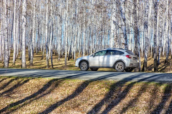 자작나무 숲에 고속도로에 여행 하는 자동차 — 스톡 사진