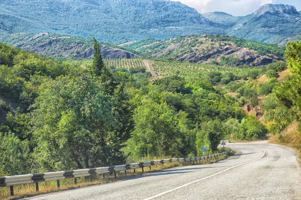 Crimea the twisting highway — Stock Photo, Image