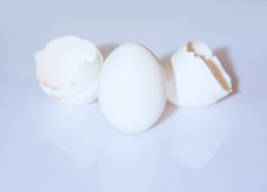 yumurta ve yumurta kabuğu