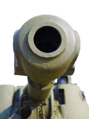 Topçu parça portre