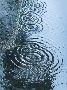 havuza düşen yağmur damlaları