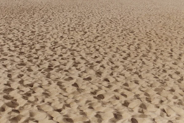 海滨沙滩上的沙滩上印满了人的脚印 — 图库照片