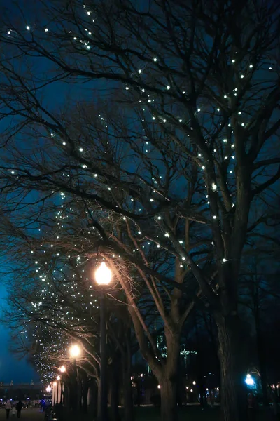 Świecące Girlandy Drzewach Nocnej Ulicy Mieście Dekoracja Świąteczna — Zdjęcie stockowe