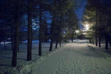 Kış meydanında gece karla kaplı kaldırım