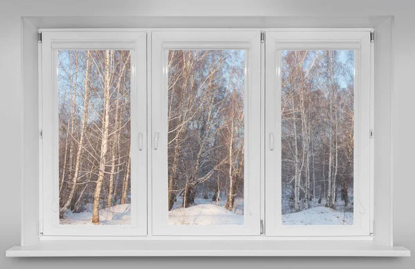 Widok Okna Piękny Zimowy Las Brzozowy — Zdjęcie stockowe