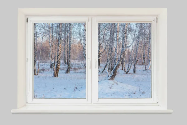 Vista Janela Para Floresta Paisagem Inverno Céu Nublado Noite — Fotografia de Stock