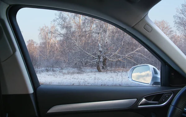 Vista Carro Para Floresta Bétula Coberta Neve Inverno — Fotografia de Stock