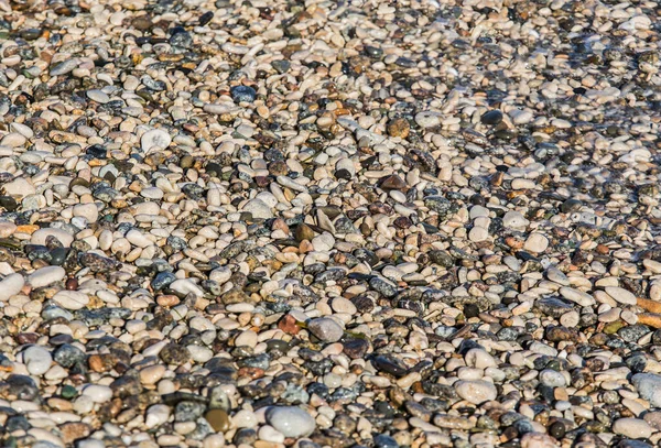 Кольорові Мокрі Камінці Морському Фоні — стокове фото