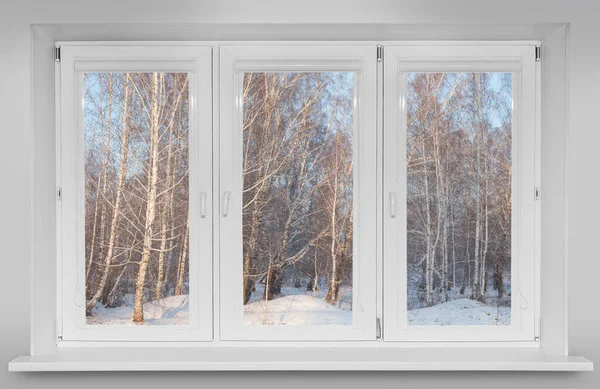 Vista Desde Ventana Hermoso Bosque Abedules Invierno Fotos de stock libres de derechos