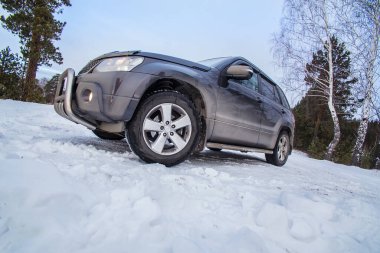 Karlı bir arazide, kış ormanında bir SUV.