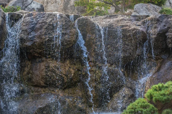 美丽的瀑布 夏日有热带树木和植物 — 图库照片