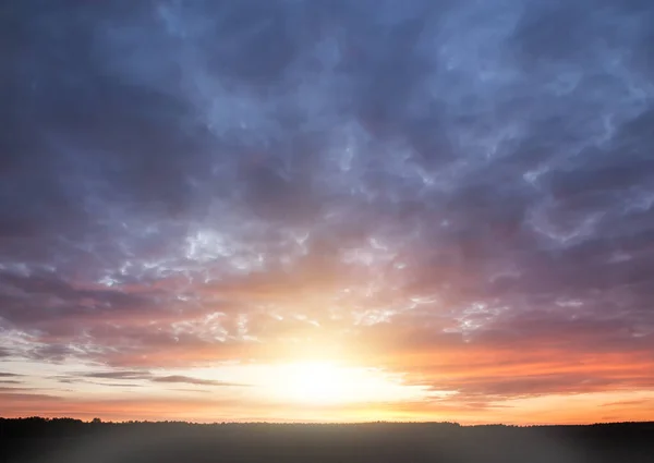 日没時に太陽に照らされたフィールドと森 赤と黄色の空 — ストック写真