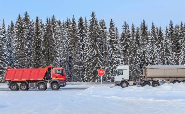Kamyonlar karlı bir kış yolunda, orman boyunca ters istikamette ilerliyor.