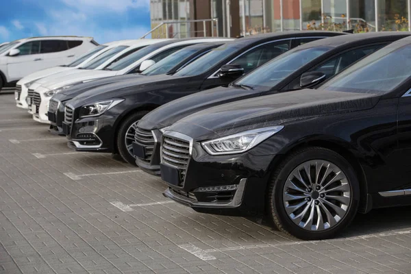 Row New Cars Parked Car Dealership Stock — Stock Photo, Image