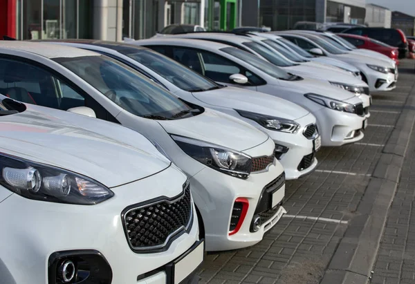 Auto Koop Stock Lot Row Inventaris Van Autodealers — Stockfoto