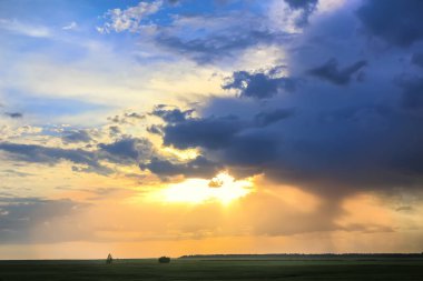 Bulutlu gökyüzünde güzel bir gün batımı yeşil alanda