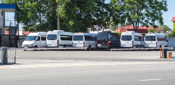 Minibuses Estacionamiento Estación Autobuses Día Verano —  Fotos de Stock