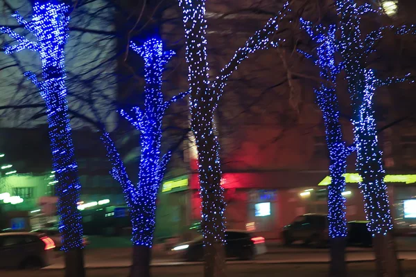 Lichtergirlanden an Bäumen — Stockfoto