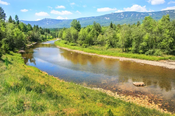 Fiume montagna bosco cielo — Foto Stock