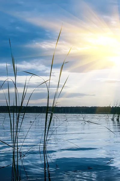 Sunset on the bank of lake — Stock Photo, Image