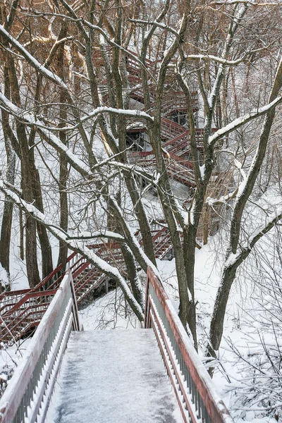 Лестница в парке Коломне — стоковое фото