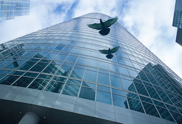 Fachada edificio moderno y palomas voladoras Imagen de archivo