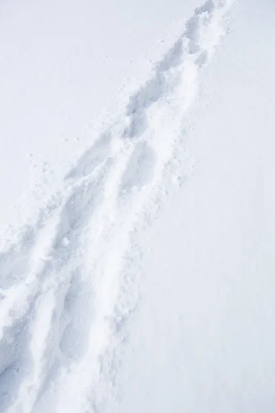 Ślady na śniegu — Zdjęcie stockowe