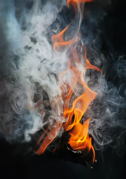 Burning birch firewood — Stock Photo, Image