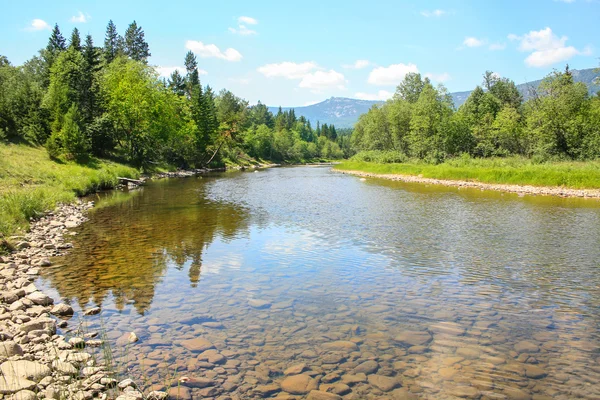 Fiume montagna bosco cielo — Foto Stock