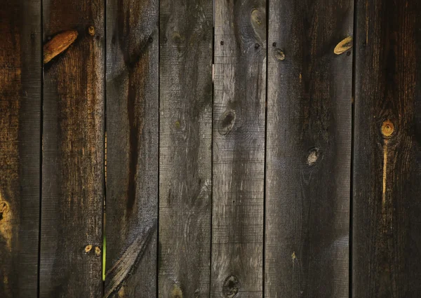 Tableros de pino fondo oscuro — Foto de Stock