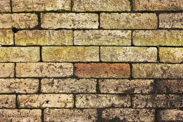 Brick wall background — Stock Photo, Image