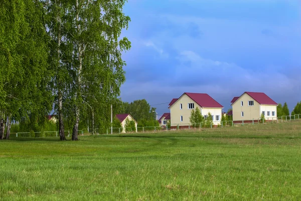 Hütten auf dem Feld in der Nähe des Waldes — Stockfoto