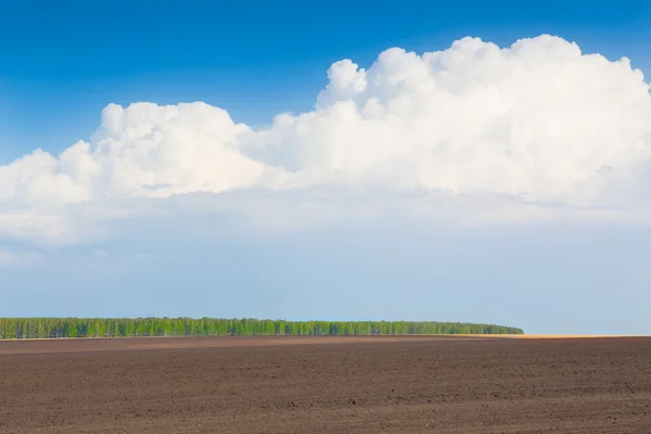 Prachtig zomers landschap — Stockfoto