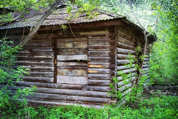 Oude houten huis in het bos — Stockfoto