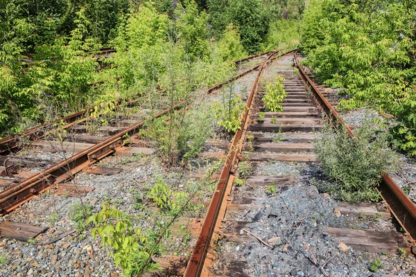 Viejo ferrocarril tirado —  Fotos de Stock