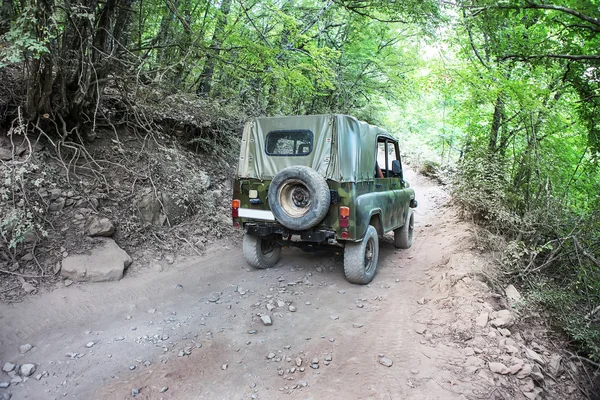 SUV va en el bosque en el camino de tierra —  Fotos de Stock