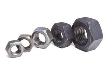 fındık farklı boyutta