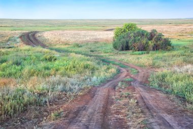 alan ve patika ile manzara