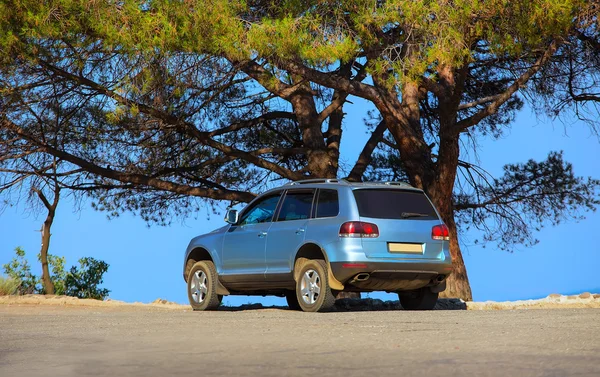 SUV on seashore under tree — Stock Photo, Image