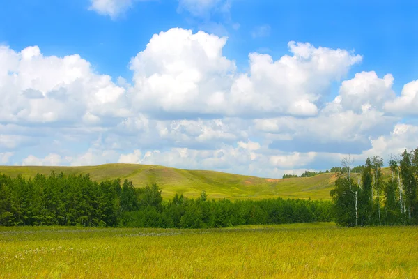 Prachtig zomers landschap — Stockfoto