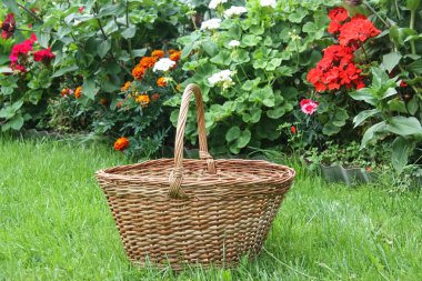 sepet çiçek yatağı yakınındaki'nın bahçesinde