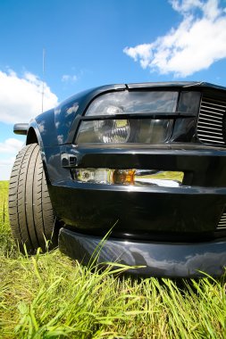 spor araba gökyüzü karşı çimenlerin üzerinde