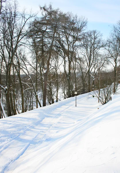 Camino cubierto de nieve de invierno —  Fotos de Stock