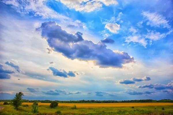 Bella alba sul campo primaverile — Foto Stock