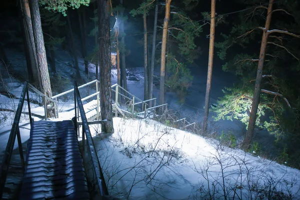 밤에 겨울 나무 사다리 — 스톡 사진