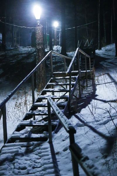 Leiter im Winterwald bei Nacht — Stockfoto
